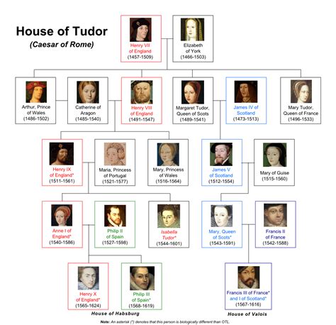 felpa family family family tudor|house of tudor family tree.